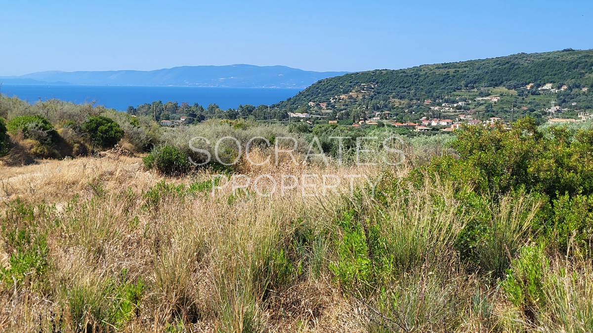 property-img